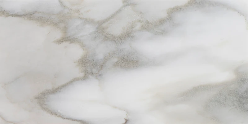 Calacatta Air Honed Marble 12" x 24" 